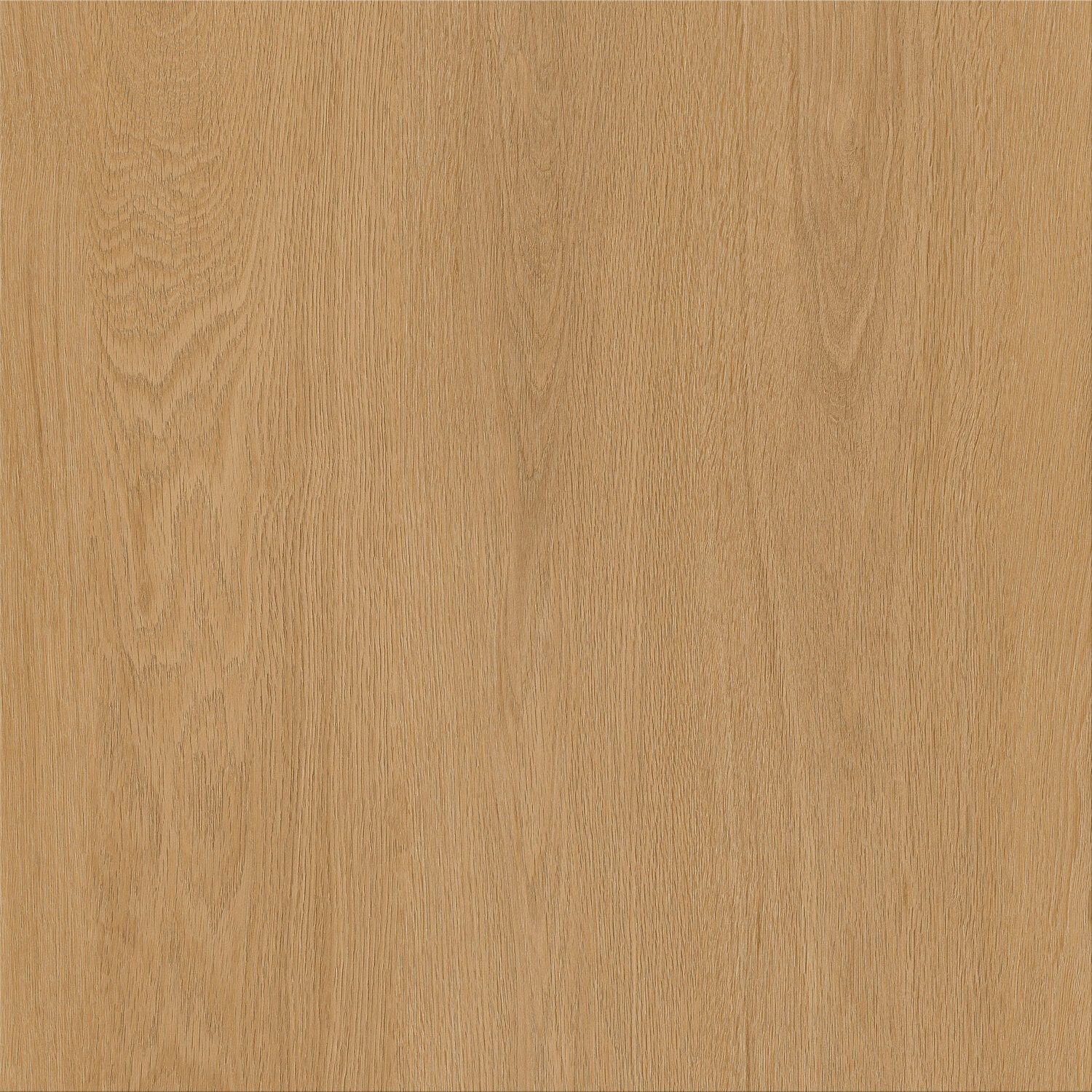 1492 OAK GOLDEN CONNECT